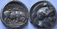 Acient Italy Lucania (Thourioi) stater struck with worn observe die, nice patina -