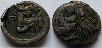 Cinmerian Bosporus Ae17 ND (325-310 BC) Pantika Paion SS/VZ