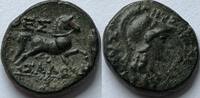 Thesselian legue Ae 19 ND (196-146BC) Thessaly SS