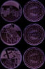 Frankreich 3 x 5 Euro Frankreich -