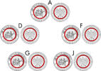 Deutschland 5 x 10 Euro 2023 Deutschland uncirculiert 89,00 EUR  zzgl. 4,90 EUR Versand