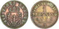 Brandenburg-Preußen Pfennig - Brandenburg-Preußen -