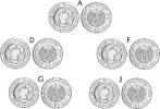 10 Euro Fußball-WM 5x 10 Euro 10 Euro Fußball-WM -