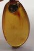 Anhänger 14K 585er Gold Goldanhänger Bernstein Amber Butterscotch 老琥珀 كهرمان -