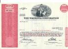 USA 100 Shares The Wachovia Corporation 1971, Aktie Wertpapier -