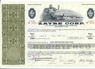 USA 1000 Dollars Shares Zayre Corp. 1976, Aktie Wertpapier -