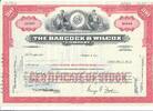 USA 100 Shares The Babcock & Wilcox Company 1976, Aktie Wertpapier -