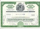 USA 100 Shares Pennsylvania Power & Light Company, Aktie Wertpapier -