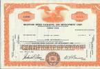 USA 100 Shares Bradford Speed Packaging and Development Corp. 1963, Aktie Wertpapier -