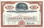 USA 100 Shares Patino Mines & Enterprises Consolidated 1961, Aktie Wertpapier -