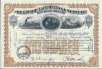 USA 100 Shares The Delaware Lackawanna and Western Railroad Company 1960, Aktie Wertpapier -