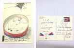 Postkarte an Claudia Schunke Zeichnung Horst Janssen handsigniert Karte 11.5.87 -