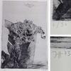 Horst Janssen : original RADIERUNG , handsigniert + nummeriert 6/30 1973 -