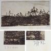 Horst Janssen : original RADIERUNG , handsigniert + nummeriert 27/100 -