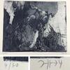 Horst Janssen : original RADIERUNG handsigniert nummeriert 4/30 1974 -