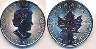 Kanada $ 5 Dollar Maple Leaf 1 Unze Silber 999 er Feinsilber Münze -