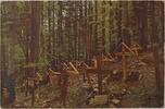 Deutschland Deutsches Reich AK Ansichtskarte Postkarte, I. Weltkrieg Nach einer Farbenphotographie aus den Vogesen. Hartmannsweiler Kopf. „Friedhof -