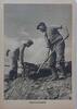 Drittes Reich Deutschland AK Postkarte, 2. Weltkrieg, Propaganda Ansichtskarte, Westwallarbeiter, Männer bauen eine Mauer, Wehrmacht -