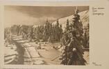 Drittes Reich Deutschland AK Postkarte, 2. Weltkrieg, Propaganda Ansichtskarte, Zum kleinen Teich. Riesengebirge, Krummhörn -