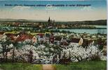 Deutschland, Drittes Reich, 2. Weltkrieg AK Ansichtskarte, Postkarte Werder (Havel). Panorama während der Baumblüte, Berlin NW7 -