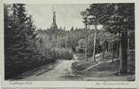Deutschland, Drittes Reich, 2. Weltkrieg AK Ansichtskarte, Postkarte Teutoburger Wald Am Hermannsdenkmal, von Staumühle nach Österreich -
