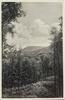 Deutschland, Drittes Reich, 2. Weltkrieg AK Ansichtskarte, Postkarte von Springe nach Fernitz Österreich, Blick vom Jägerstieg -