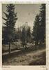 Deutschland, Drittes Reich, 2. Weltkrieg AK Ansichtskarte, Postkarte von Königsfeld nach Solingen, Sommertag E. Preiss, Wald -