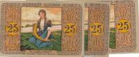 Deutsches Reich Deutschland 3x 25 Pfennig Notgeld, Stadt Plebiscit Schleswig -