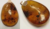 Anhänger 14K 585er Gold Goldanhänger Bernstein Amber Butterscotch 老琥珀 كهرمان -