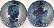 Kanada $ 5 Dollars Maple Leaf, 1 Unze Silber 999er -