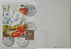 Drittes Reich Deutschland AK Postkarte, 2. Weltkrieg, Propaganda Ansichtskarte, 7. KWHW-Reichs-Straßensammlung, Berlin Pankow NW64 -