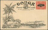 Briefmarken 1906 Tonga Bildpostkarte in Farbe Ganzsache Orange Groves Ungebraucht / 704