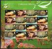  2013 Briefmarken Falkland Meerestiere Seestern Shallow Marine Surveys ZD-Kleinbogen MNH 