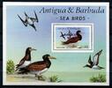  1987 V Briefmarken Barbuda 1987 Vögel Wasservögel Birds Oiseaux Uccello Block 122 Postfrisch MNH 