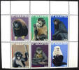  2015 Briefmarken St. Maarten Affen Monkeys Tiere Animals Postfrisch MNH 
