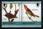 Briefmarken Montserrat 1985 Audubon Gemälde Zeichnungen 599-600 Nominale fehlt MNH / 265 -