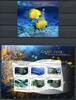 Briefmarken St. Kitts Fische Fishes Poissons Pesci Meerestiere Meeresleben MNH -