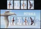 Briefmarken AAT Australische Antarktis 2024 Sturmvögel Seevögel Vögel Petrels Birds MNH -