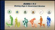 Briefmarken Hongkong 2012 Hunde im Öffentlichen Dienst Schäferhund 1717-1722 Markenheft MNH -