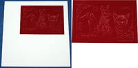 Briefmarken Mongolei Mongolia Hund Katze Kaninchen 2473 Block Probedruck Rot MNH / 59 -
