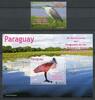 Briefmarken Paraguay 2012 Vögel Birds Uccelli Oiseaux 5172 Block 494 Postfrisch MNH -