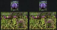 Briefmarken Palästina Palestine Iris Nationalblume National Flower Blüte Blossom MNH -