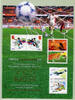  2002 Briefmarken Hongkong FIFA World Cup Soccer Fußball WM B-No + Folder Block 102 MNH 