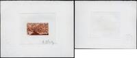 Briefmarken Afar und Issa Reliefkarte Berge Küste Braun Artist Sunken Die Proof Signed -