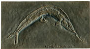 Deutschland - BRD, Relief v. Strassacker o. J., Fossiler Raubfisch Aspid... 60,00 EUR  zzgl. 6,00 EUR Versand