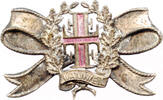 Wannweil (bei Reutlingen/Tübingen), Teilkoloriertes Hohlblechabzeichen Turnverein, -