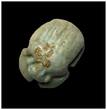 Ancient art  Fine Egyptian Late Period Faience Scarab, Circa 664-332 BC.