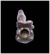 Ancient art  Ityphallic ceramic offer jar, Pre-Columbian Mexico, 2nd. mill. AD