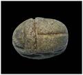 Ancient art  Egyptian Green glazed steatite stone scarab w Horus and Cartouche!