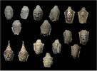 Asian art Collection of 6 early Thai bronze heads of Buddha, 14th.-16th. cent. -